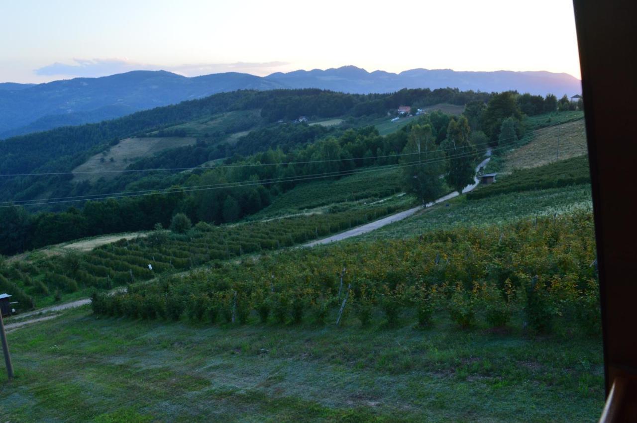 Brvnare Kusici * Ivanjica