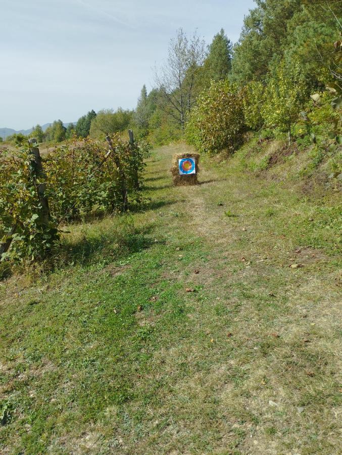 Brvnare Kusici Ivanjica