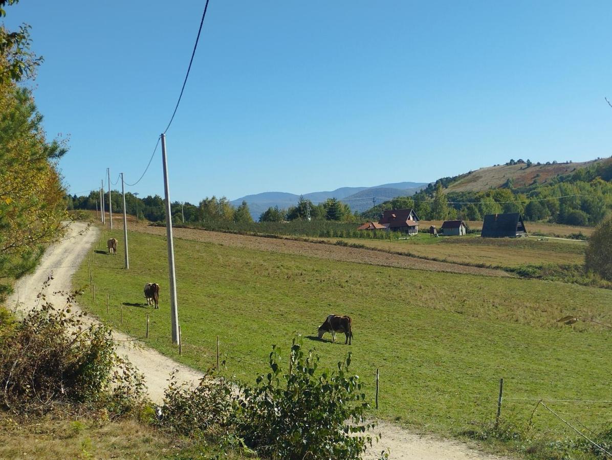 Holiday home Brvnare Kusici Ivanjica