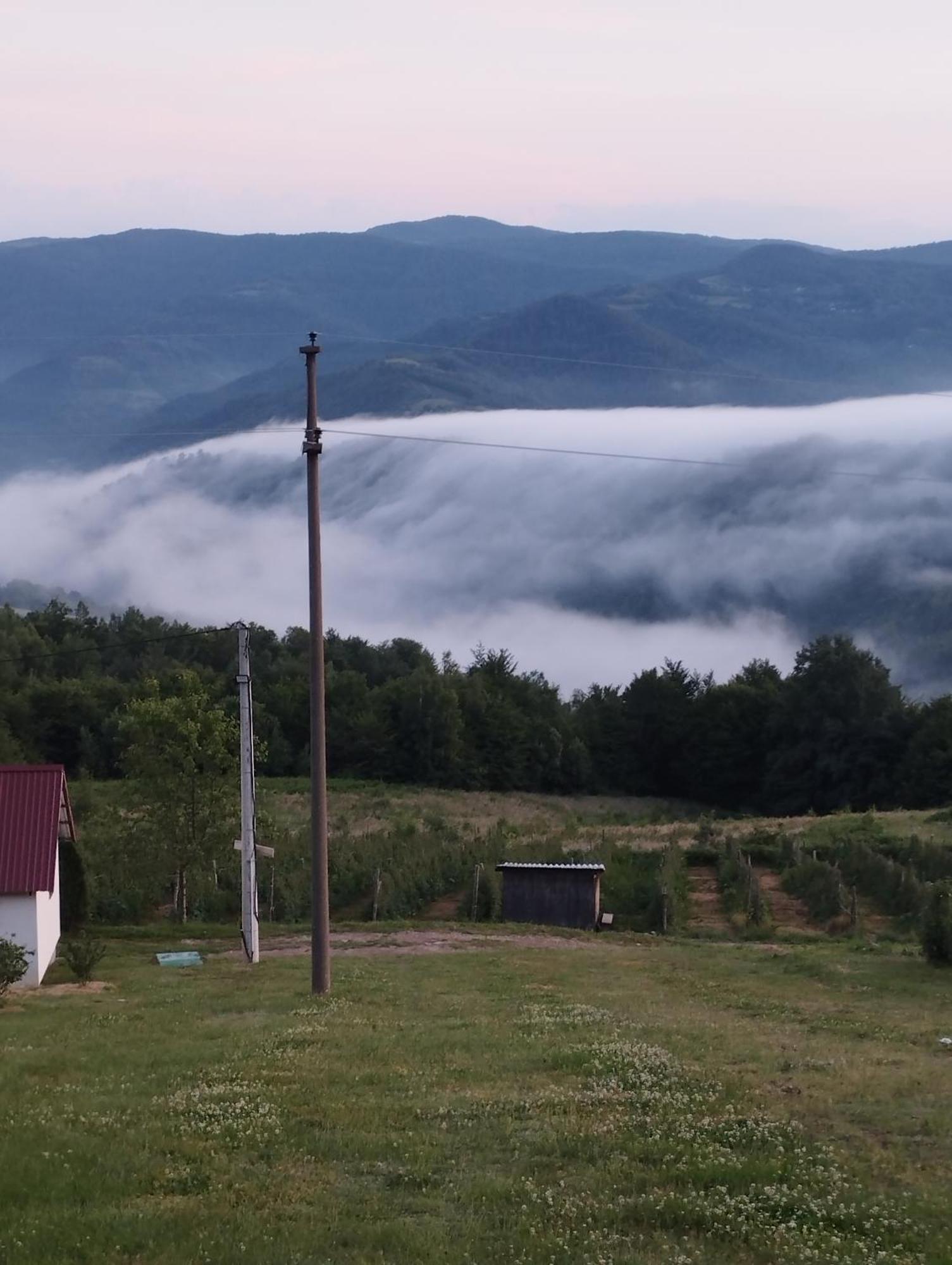 Brvnare Kusici Holiday home *